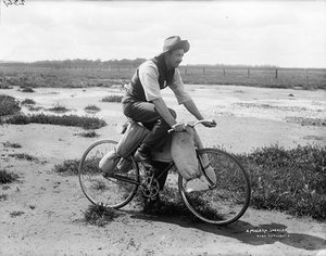 (1896) Beginn der Fahrradproduktio